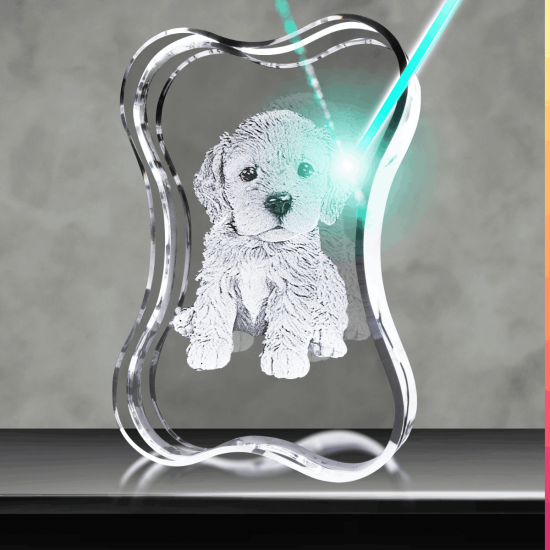 3D Crystal Doge Bone Vertical